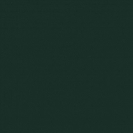 Зелёный еловый 19 х 0,4 Кромка ЭГГЕР ABS U699 ST9 1705889 - фото - 1