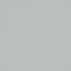 R009 MS Теплый серый - фото - 1