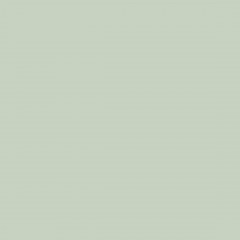 608 TM Зеленый фисташковый - фото - 1